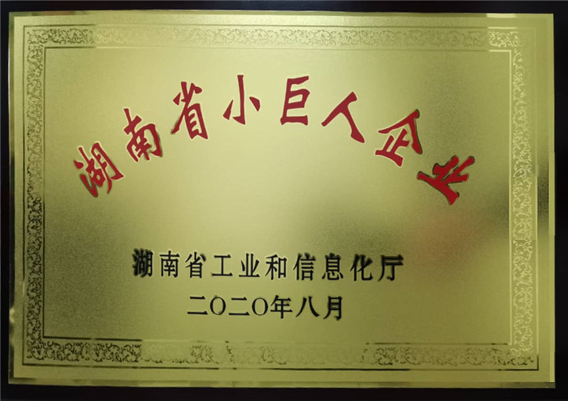 湖南省小巨人企業